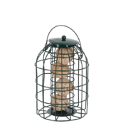 Squirrel proof suetball dispenser