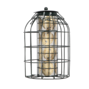 Squirrel proof suetball dispenser