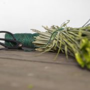 Planten-opbindset