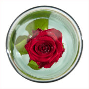Verzonken Bloemen vaas M