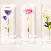 Verzonken Bloemen vaas M