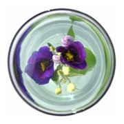 Verzonken Bloemen vaas M