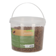 Vers de farine séchés en seau 700 gr