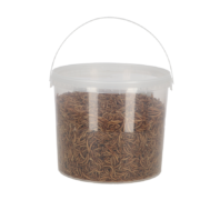 Vers de farine séchés en seau 700 gr