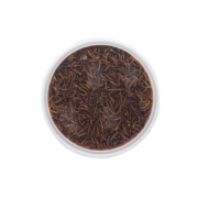 Vers de farine séchés en seau 700 gr