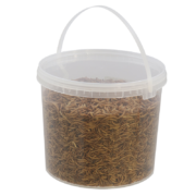 Vers de farine séchés en seau 700 gr