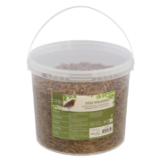 Vers de farine séchés en seau 700 gr