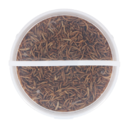 Vers de farine séchés en seau 700 gr