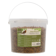 Vers de farine séchés en seau 700 gr