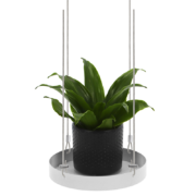 Round window hanging trays S