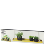 Rechthoekig gouden plantenplateau L