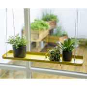 Rechthoekig gouden plantenplateau L