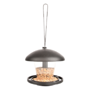 Seed dispenser