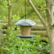 Seed dispenser