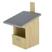 Nest box robin
