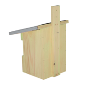 Nest box robin