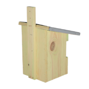 Nest box robin