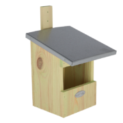 Nest box robin