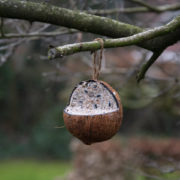 Noix de coco fourrée
