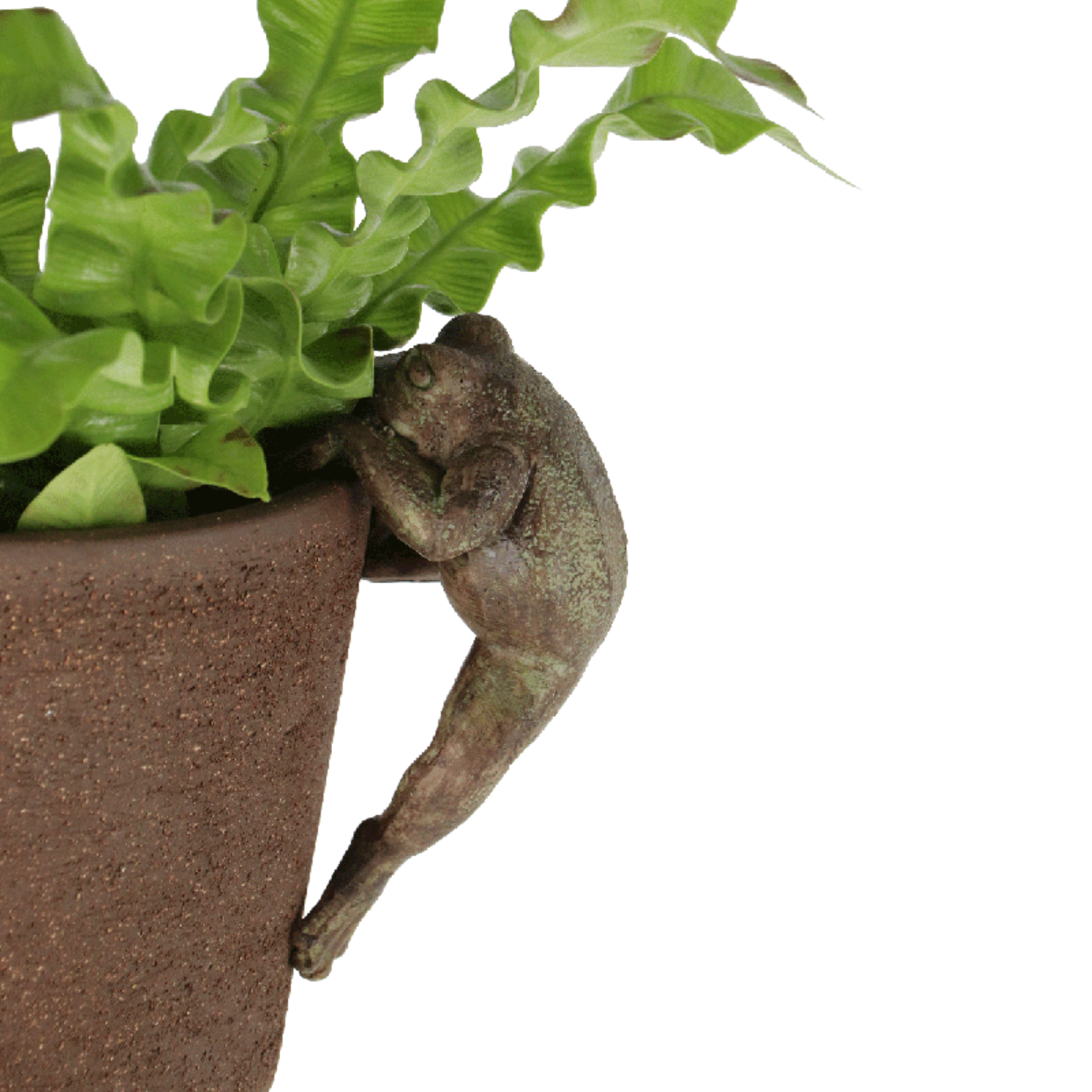 Support orchidée géométrique