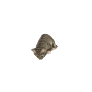 Fensterbankkatze