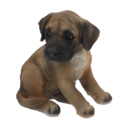 Chiot dogue allemand assis