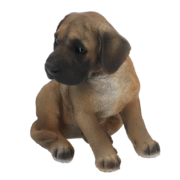 Chiot dogue allemand assis