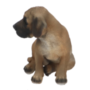 Chiot dogue allemand assis