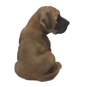 Chiot dogue allemand assis