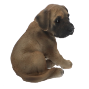 Chiot dogue allemand assis