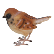Haussperling