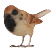 Haussperling