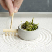 Rectangular mini Zen garden