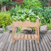 Blank raised bed S