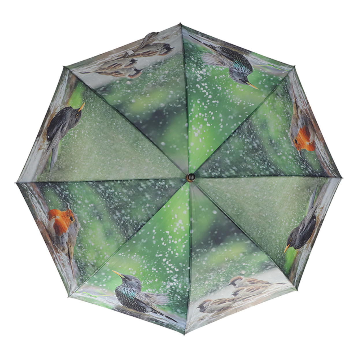 Desert Dream vogelbad