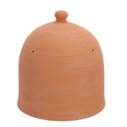 Forcing pot terracotta M