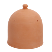 Forcing pot terracotta M