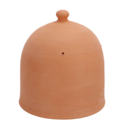 Forcing pot terracotta M