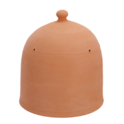 Forcing pot terracotta M