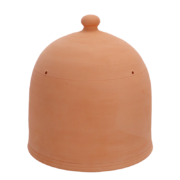 Forcing pot terracotta M