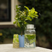 Juice dispenser flip top