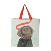 Einkaufstasche Hund an Leine sort.