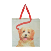 Einkaufstasche Hund an Leine sort.