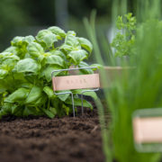 DIY plant label set