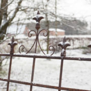 Plantensteun 2D franse lelie L