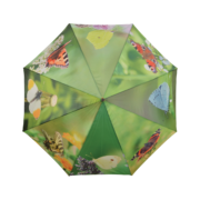 Umbrella butterflies