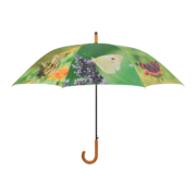 Umbrella butterflies