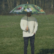 Umbrella butterflies