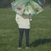 Umbrella butterflies