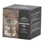 Vase germination à ouvertures multiples
